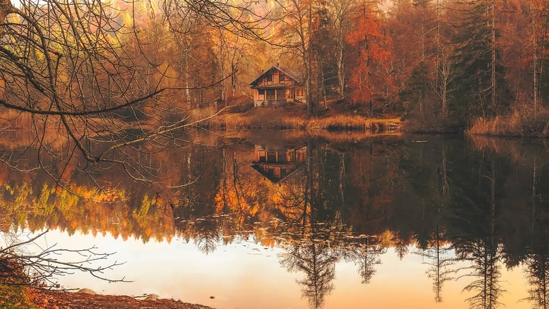Luxury Cabin in the Woods